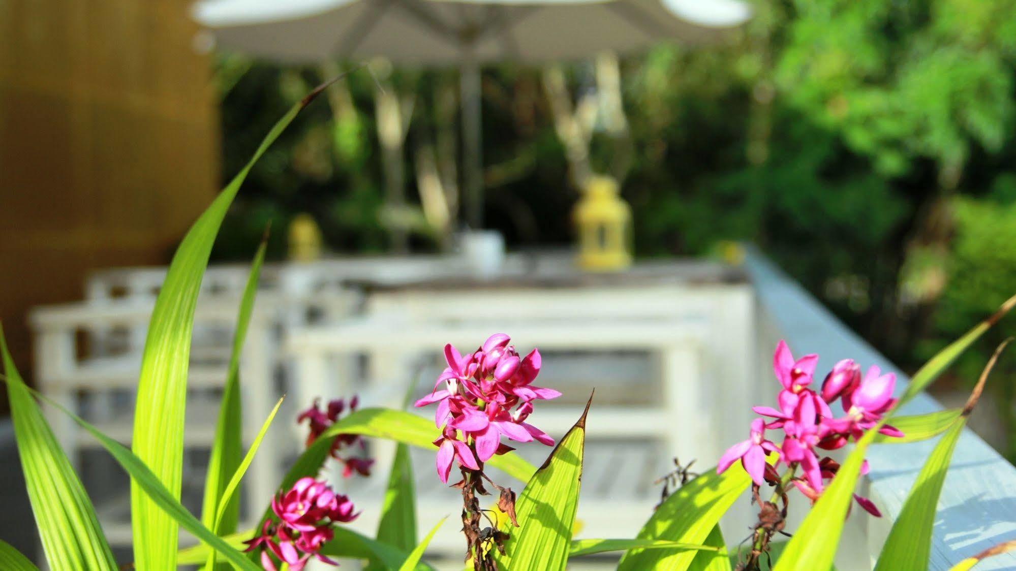 Emis Hotel Phu Quoc Exterior photo